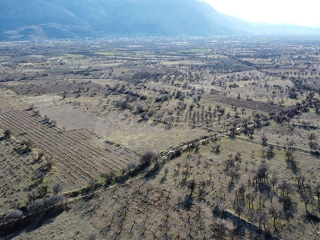 ISPARTA SENİRKENT ONALTIHAZİRAN MAHALLESİNDE 2029 METRE RESMİ YOLA CEPHELİ ÜZÜM BAĞI - Görsel 28