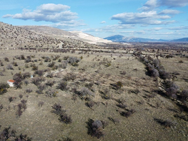 ISPARTA SENİRKENT ONALTIHAZİRAN MAHALLESİNDE 2029 METRE RESMİ YOLA CEPHELİ ÜZÜM BAĞI - Görsel 13