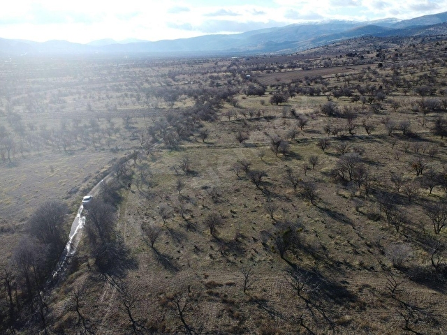 ISPARTA SENİRKENT ONALTIHAZİRAN MAHALLESİNDE 2029 METRE RESMİ YOLA CEPHELİ ÜZÜM BAĞI - Görsel 7