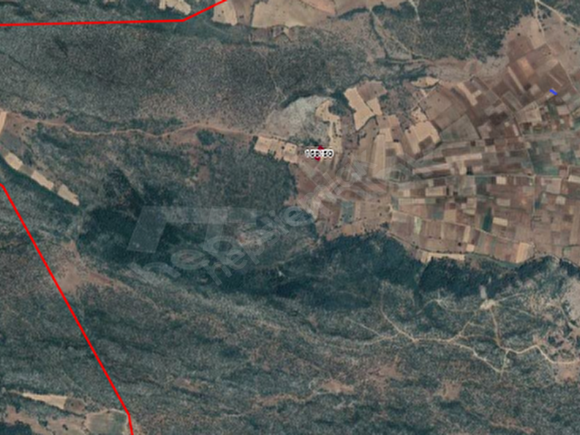 ziraat bankasi ndan tavsanli ovacik mah 1276 42 m2 tarla