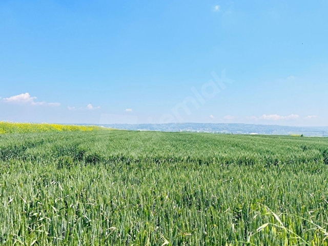Selimpaşada Satılık İyi Konumlu Köşe Başı 2276 M² İmarlı Arsa - Görsel 29