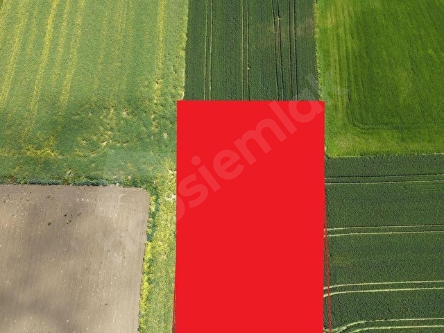 Selimpaşada Satılık İyi Konumlu Köşe Başı 2276 M² İmarlı Arsa - Görsel 7