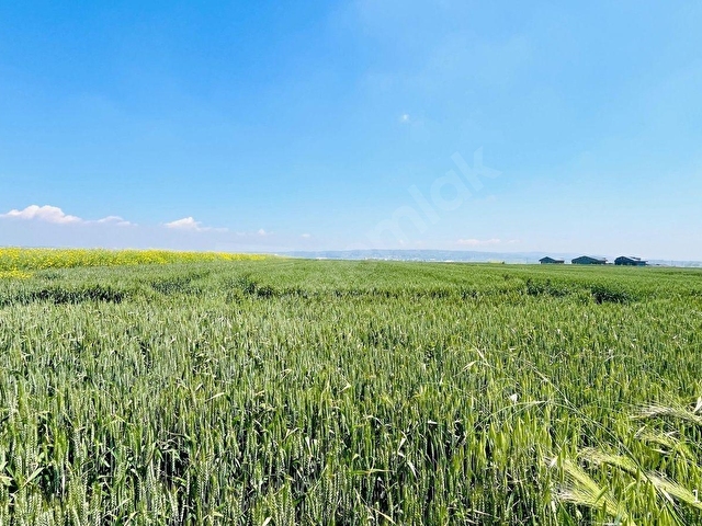 Selimpaşada Satılık İyi Konumlu Köşe Başı 2276 M² İmarlı Arsa - Görsel 30