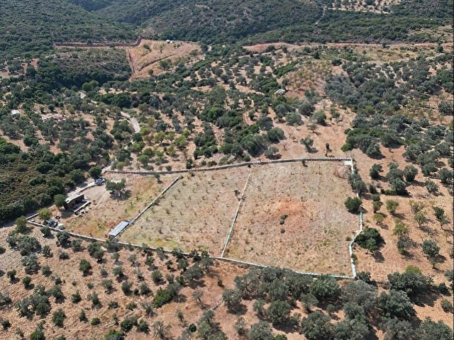 Datça Yazıda 6.720 m2 bademlik ve narenciye bahçesi - Görsel 28