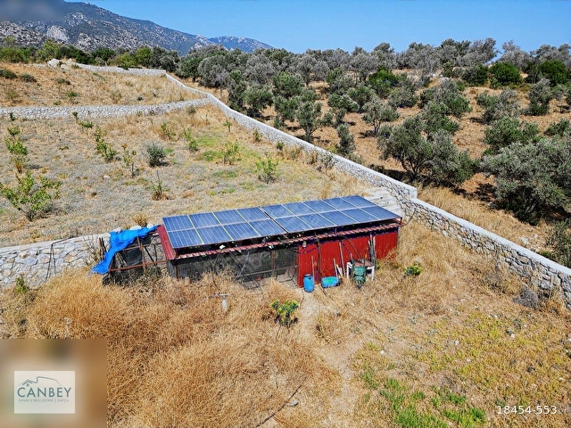 Datça Yazıda 6.720 m2 bademlik ve narenciye bahçesi - Görsel 7