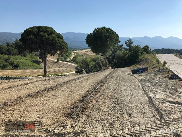 KUŞADASI CAFERLİ’DE 61.000 m² TERASLANMIŞ, ALTYAPISI HAZIR, KÖRFEZ MANZARALI YATIRIM ARAZİSİ - Görsel 8