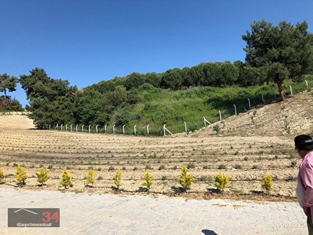 KUŞADASI CAFERLİ’DE 61.000 m² TERASLANMIŞ, ALTYAPISI HAZIR, KÖRFEZ MANZARALI YATIRIM ARAZİSİ - Görsel 7