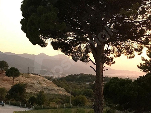 KUŞADASI CAFERLİ’DE 61.000 m² TERASLANMIŞ, ALTYAPISI HAZIR, KÖRFEZ MANZARALI YATIRIM ARAZİSİ - Görsel 13