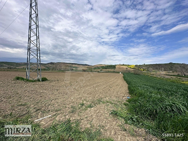 MİRZADAN NAİPTE ASFALT YOLA CEPHELİ 4736 M2 SATILIK TARLA - Görsel 10