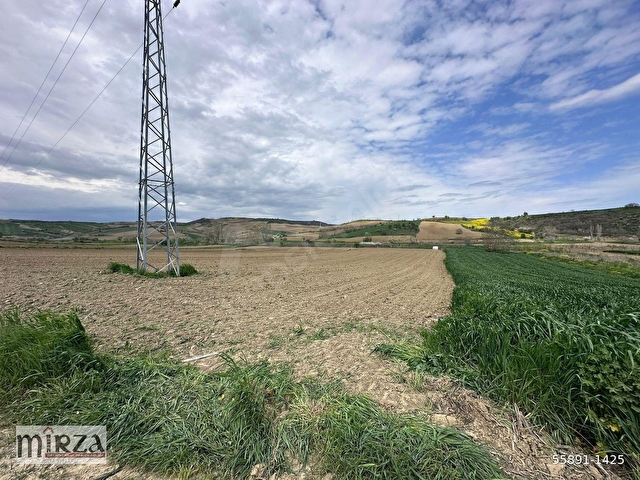 MİRZADAN NAİPTE ASFALT YOLA CEPHELİ 4736 M2 SATILIK TARLA - Görsel 15