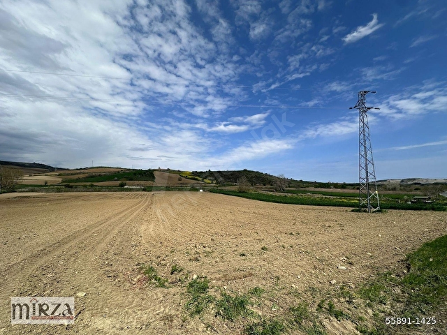 MİRZADAN NAİPTE ASFALT YOLA CEPHELİ 4736 M2 SATILIK TARLA - Görsel 2