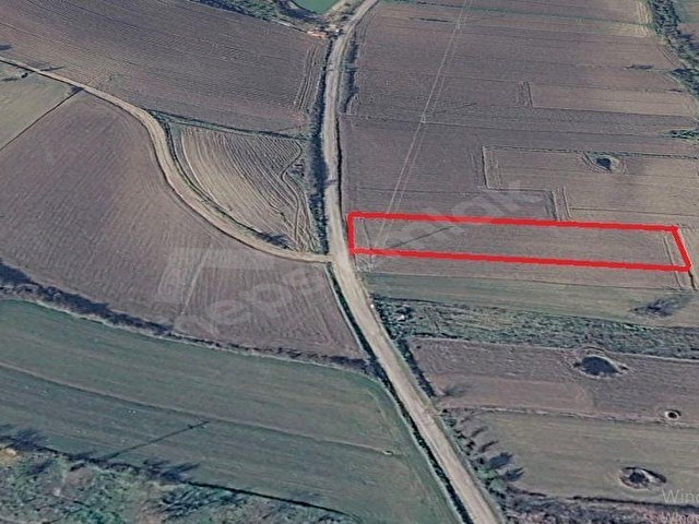 MİRZADAN NAİPTE ASFALT YOLA CEPHELİ 4736 M2 SATILIK TARLA - Görsel 30