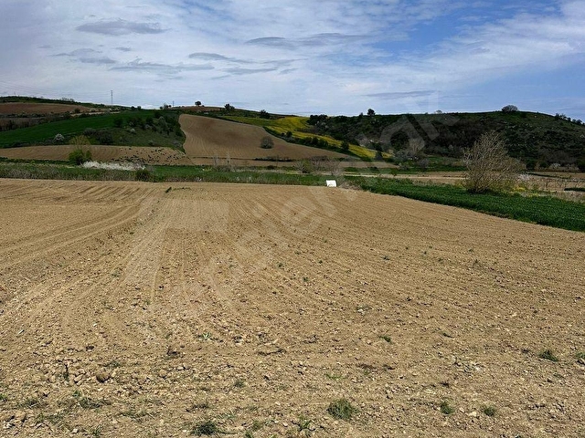 MİRZADAN NAİPTE ASFALT YOLA CEPHELİ 4736 M2 SATILIK TARLA - Görsel 11