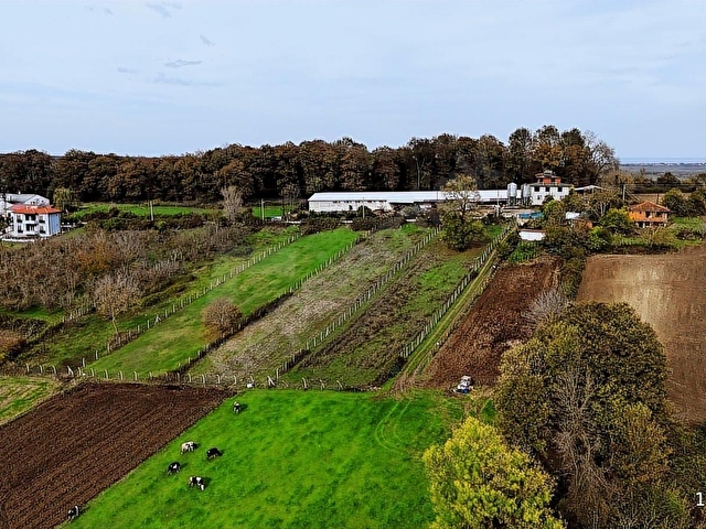 KAYNARCA TURNALIDA GÖLET MANZARALI 419m2 ARSA EMSAL 0,40 PROJELİ - Görsel 18