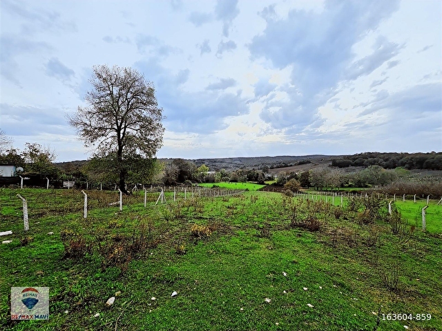 KAYNARCA TURNALIDA GÖLET MANZARALI 419m2 ARSA EMSAL 0,40 PROJELİ - Görsel 30