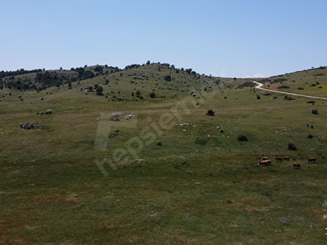 AFYONKARAHİSAR MERKEZ ALACALI 3621 M2 RESMİ YOLA CEPHELİ ARAZİ - Görsel 18