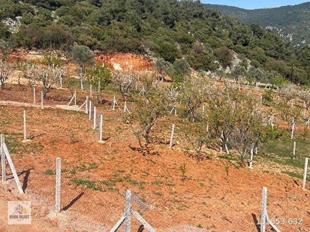 İzmir Kemalpaşa damlacıkta 35 vadi evleri kooperatif hissesi - Görsel 16