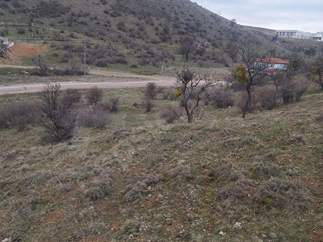 AKYURT YEŞİLTEPE E=0,30 744 M2 CADDE ÜSTÜ SATILIK VİLLA PARSELİ - Görsel 7