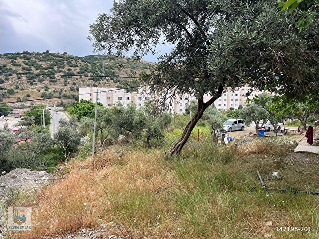 Egede Yatırımlık Arsa | 484 m² | Ayrık Nizam İmarlı Muğla/Milas - Görsel 25