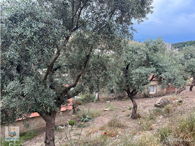 Egede Yatırımlık Arsa | 484 m² | Ayrık Nizam İmarlı Muğla/Milas - Görsel 19