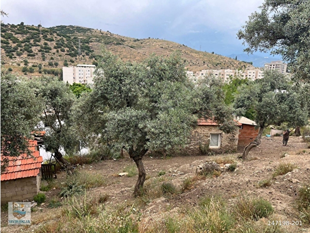 Egede Yatırımlık Arsa | 484 m² | Ayrık Nizam İmarlı Muğla/Milas - Görsel 28