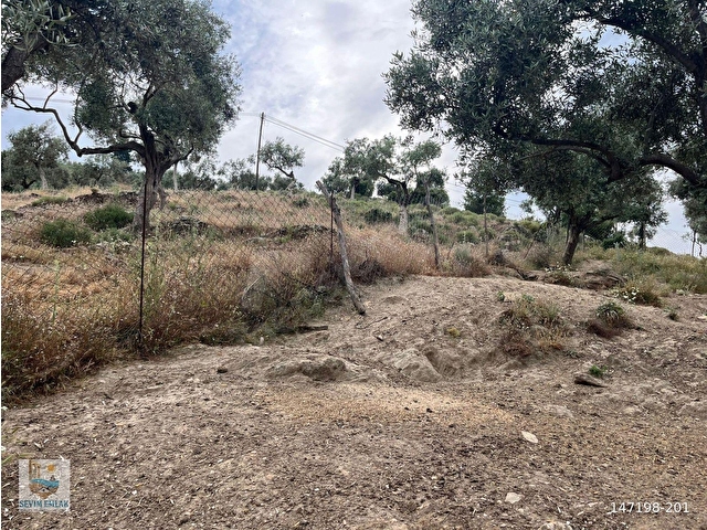 Egede Yatırımlık Arsa | 484 m² | Ayrık Nizam İmarlı Muğla/Milas - Görsel 27