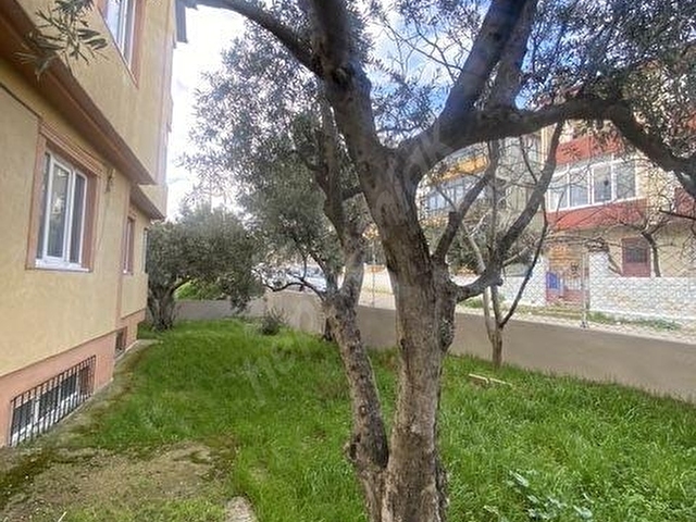 MÜREFTE CADDESİNE 50 METRE MESAFEDE MÜSTAKİL BAHÇELİ BİNA - Görsel 5