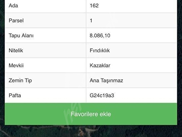SAKARYA GEYVE KAMIŞLIDA SATILIK FINDIKLIK - Görsel 2