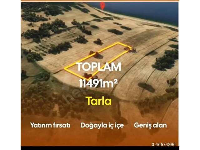 Yatırım için müthiş fırsat 11.5 donum