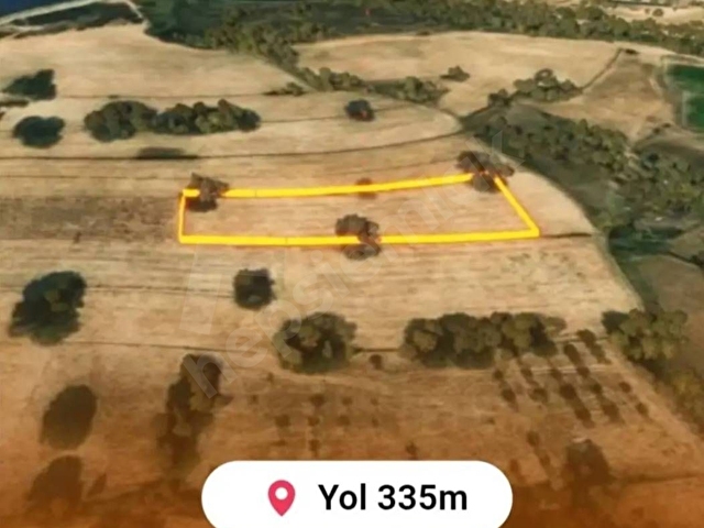 Yatırım için müthiş fırsat 11.5 donum - Görsel 2