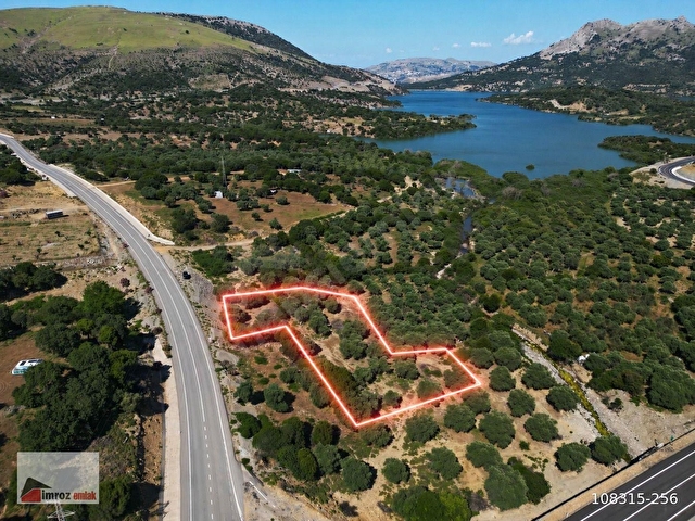 İMROZ EMLAKTAN MERKEZE YAKIN ASFALTA SIFIR 2.012 M2 ZEYTİNLİK