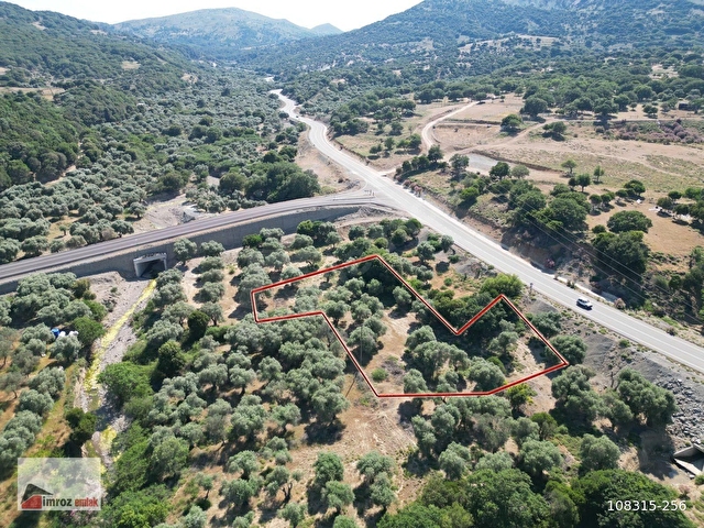 İMROZ EMLAKTAN MERKEZE YAKIN ASFALTA SIFIR 2.012 M2 ZEYTİNLİK - Görsel 3