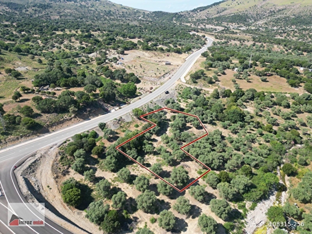 İMROZ EMLAKTAN MERKEZE YAKIN ASFALTA SIFIR 2.012 M2 ZEYTİNLİK - Görsel 5