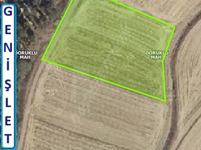 KARACA GAYRİMENKULDEN SATILIK 7160 M2 TARLA KOCASİNAN DORUKLU
