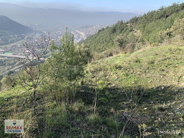 REMAX DESİGN GEYVE KÖPRÜBAŞI MAHALLES 1886 M2 SATILIK TARLA - Görsel 2