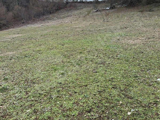 BİLECİK MERKEZ KARAAĞAÇ KÖYÜ DERE KENARI - Görsel 28