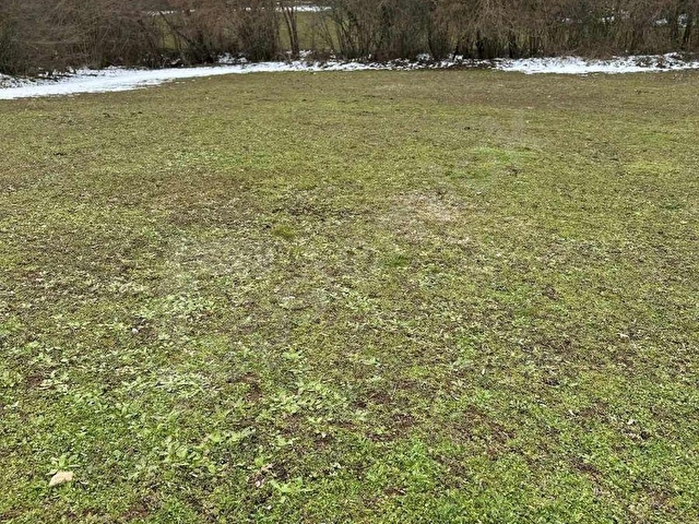 BİLECİK MERKEZ KARAAĞAÇ KÖYÜ DERE KENARI - Görsel 21