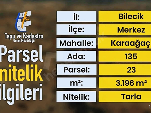 BİLECİK MERKEZ KARAAĞAÇ KÖYÜ DERE KENARI - Görsel 9