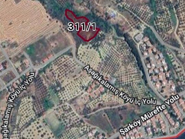 ŞARKÖY MÜREFTE DE MANZARALI YATIRIMLIK 3804M BAĞ - Görsel 7