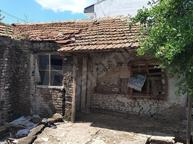 büyük bostancı - Görsel 3