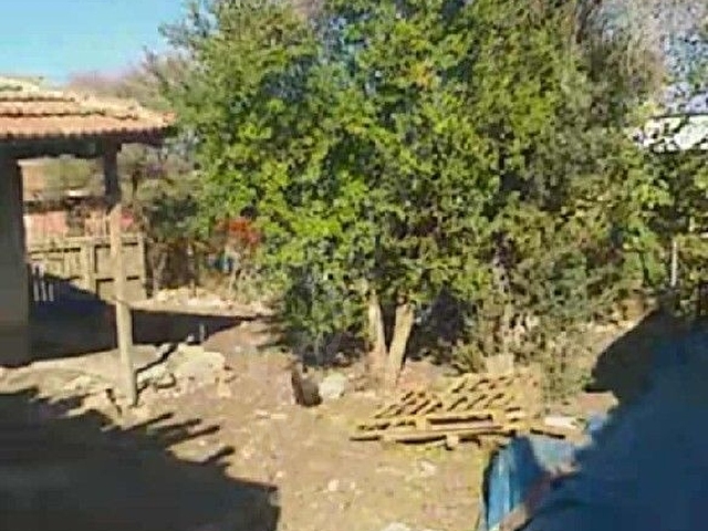 büyük bostancı - Görsel 24