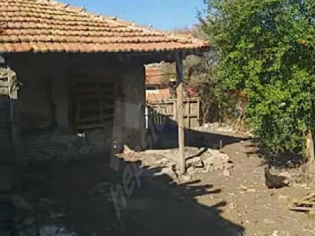 büyük bostancı - Görsel 25