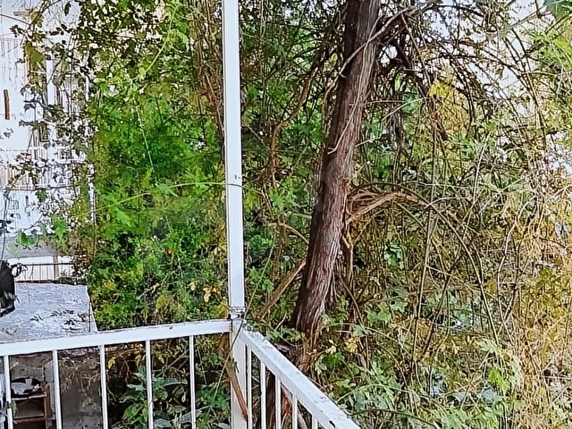 EGE ÜNİVERSİTESİNE VE EVKA 3 METRO YAKINI ARA KAT KLASİK DAİRE - Görsel 16