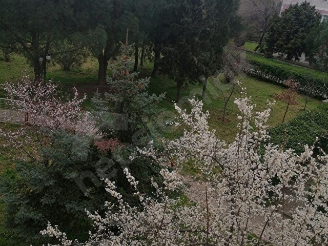 ÇORLU MERKEZDE HÜKÜMET KONAĞI ARKASI KİRALIK ARAKAT DAİRE - Görsel 5