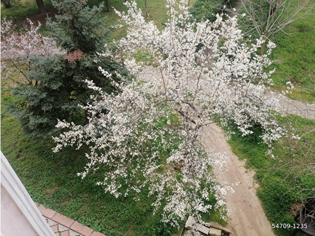 ÇORLU MERKEZDE HÜKÜMET KONAĞI ARKASI KİRALIK ARAKAT DAİRE - Görsel 7