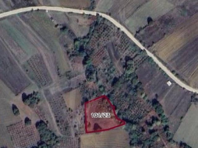 son fiyat Kandıra Sepetci ( 3 dönüm  226 m2 )