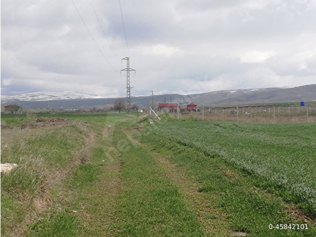 HAZİNE TAKAS, MÜSTAKİL, İKRAMİYE, BAHÇE, YOL, ELEKTRİK VE SU - Görsel 3