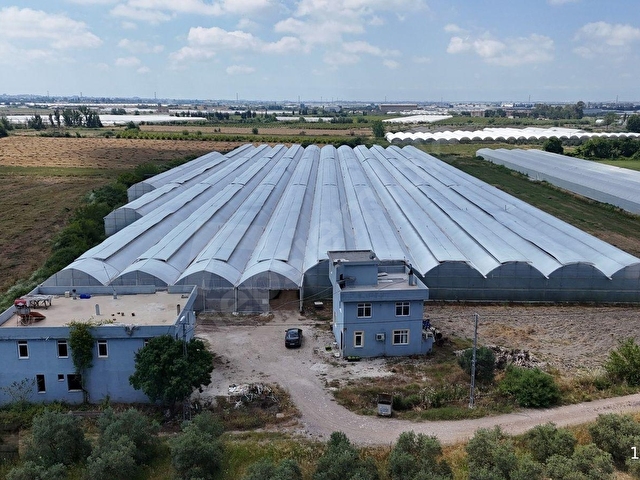 KURULU DÜZEN SERA TESİSİ LOJMANLI OTOMASYONLU SERİK ÇANDIRDA