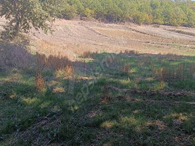 İhtiyaçtan Dolayı Acil Satlık - Görsel 8