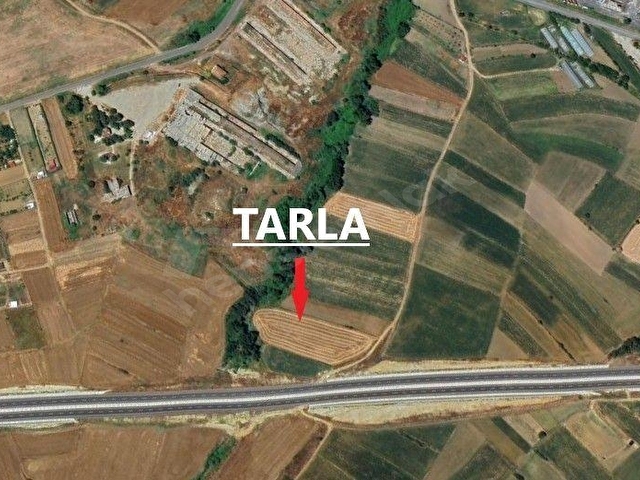 GÜLSULTAN EMLAK  TAN TEKİRDAĞ S.PAŞA BIYIKALİ MAH.OTOYOLA CEPHE SATILIK 7 DÖNÜM TARLA - Görsel 6